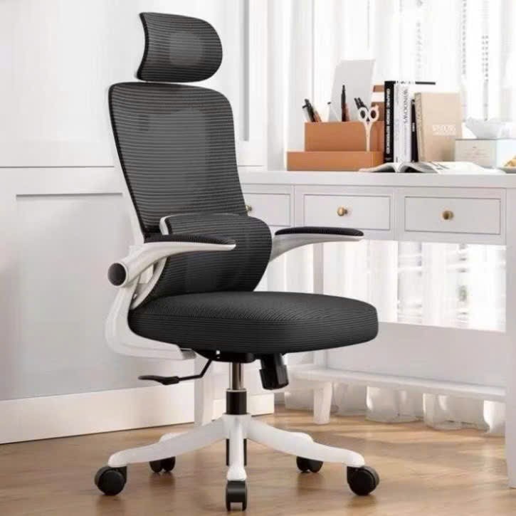 Ghế công thái học G-25