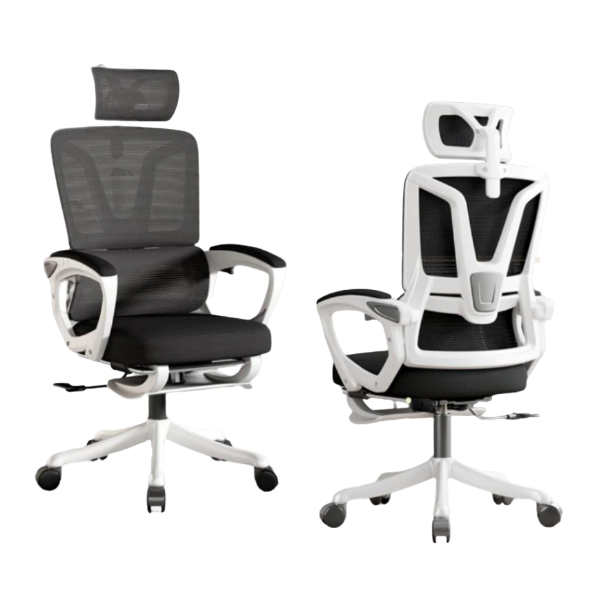 Ghế công thái học G-26